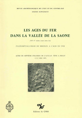 Les âges du fer dans la vallée de la Saône (VIIe - Ier siècles avant notre ère)