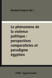 Violence politique et démographie en Égypte