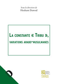 6. Le Yémen contemporain : une société tribale ?