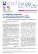 Les dépenses culturelles des collectivités locales en 2006