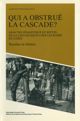 Qui a obstrué la cascade ?