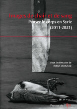 La création romanesque contemporaine en Syrie de 1967 à nos jours