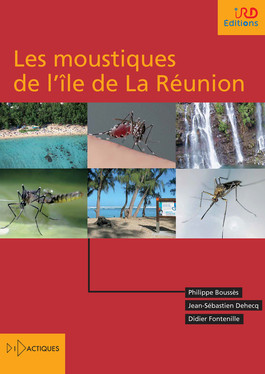Les moustiques de l’île de La Réunion