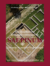 Les installations artisanales romaines de Saepinum