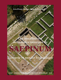 Les installations artisanales romaines de Saepinum