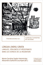 Creative Multilingualism