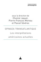 Spinoza transalpin