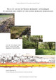 Milieux humides et aménagements anthropiques dans la plaine du Rhin : le site romain d’Oedenburg (Haut-Rhin)
