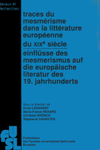 Flaubert et la théorie littéraire